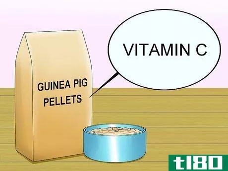 Image titled Feed Guinea Pigs Vitamin C Step 2