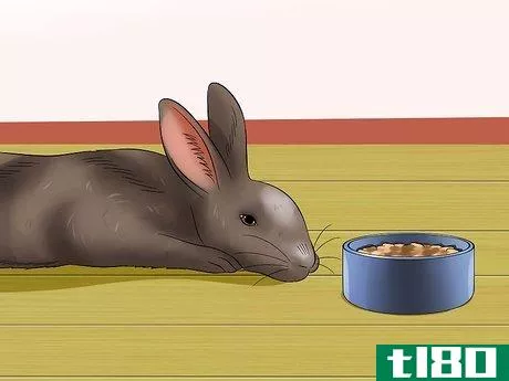 Image titled Diagnose Dental Problems in Rabbits Step 7