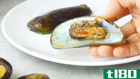 如何吃贻贝(eat mussels)