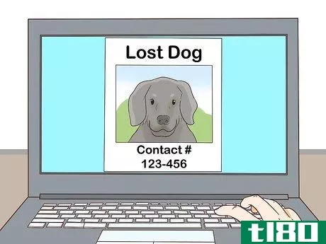 Image titled Find a Lost Dog Step 24