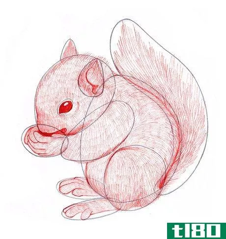 Image titled Draw a Squirrel Step 8