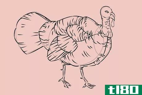 Image titled Draw a Turkey Step 21