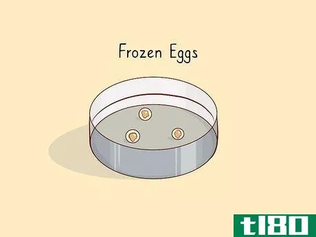 Image titled Find Affordable Options for Egg Donor IVF Step 6