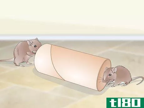 Image titled Exercise Your Gerbil Step 6