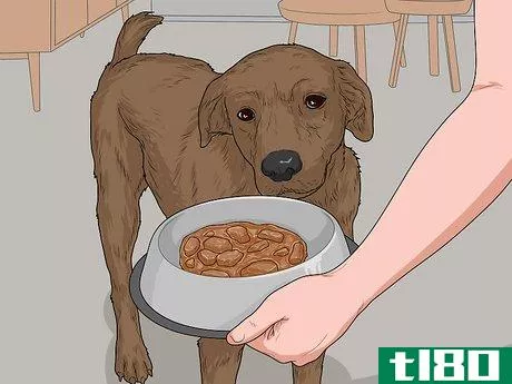 Image titled Feed a Sick Dog Step 10