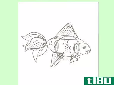 Image titled Draw Goldfish Step 7