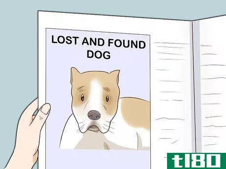 Image titled Find a Lost Dog Step 27