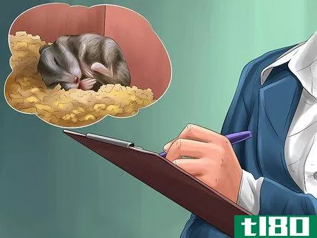 Image titled Diagnose Hamster Respiratory Illnesses Step 8