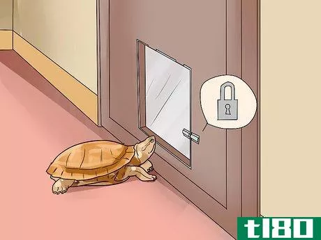 Image titled Find a Turtle Step 8
