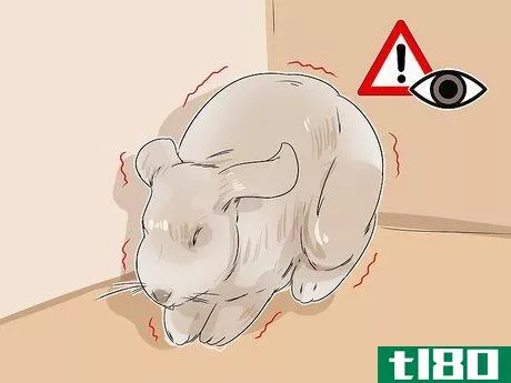 Image titled Diagnose Ear Mites in Rabbits Step 3