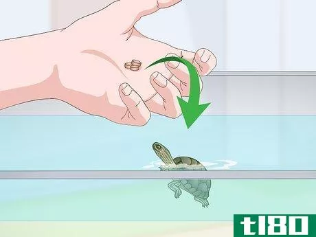 Image titled Feed a Red‐Eared Slider Turtle Step 8