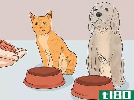 Image titled Prevent Jealousy in Current Pets when Getting a New Dog Step 4