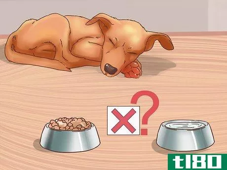 Image titled Determine if You Should Euthanize Your Dog Step 3