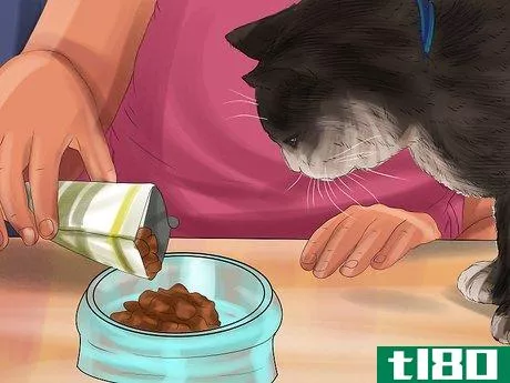 Image titled Encourage Your Cat to Eat Step 2