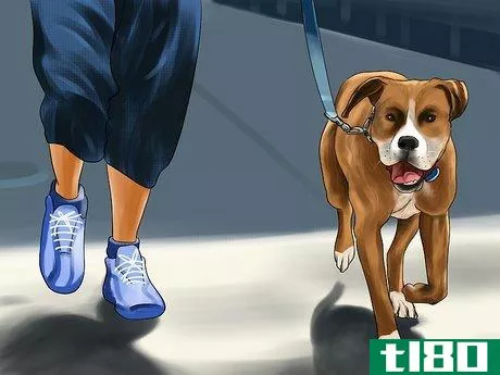 Image titled Encourage Your Senior Dog to Play Step 8