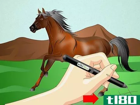 Image titled Draw a Realistic Looking Horse Step 11