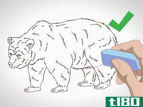 Image titled Draw a Grizzly Bear Step 11