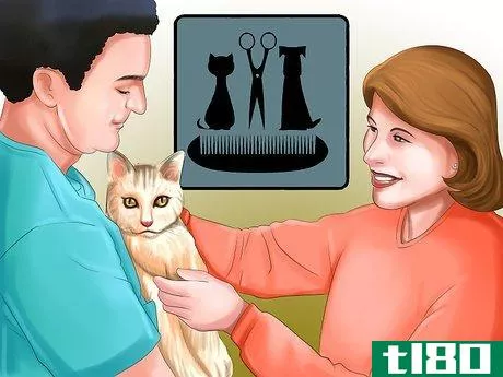 Image titled Find a Professional Cat Groomer Step 2