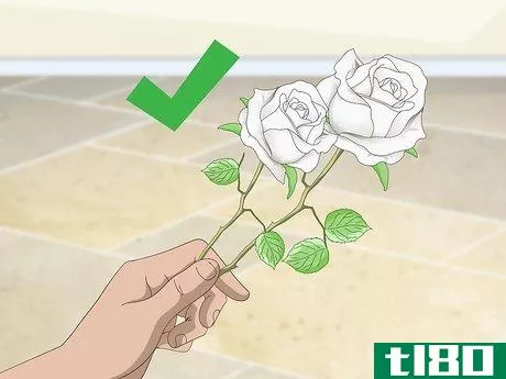 Image titled Dye Roses Step 1