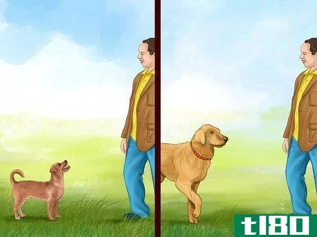 Image titled Feel Comfortable Around Big Dogs Step 11