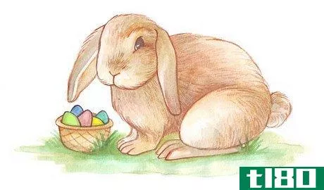 Image titled Draw the Easter Bunny Step 26