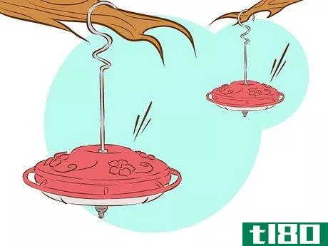 Image titled Feed Hummingbirds Step 11