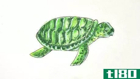 Image titled Draw a Turtle Step 19