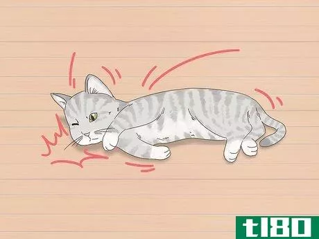 Image titled Diagnose and Treat Horner's Syndrome in Cats Step 2