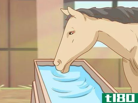 Image titled Feed a Horse Step 1