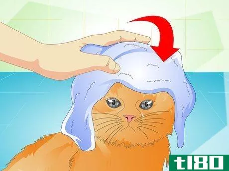 Image titled Deliver Ear Medication to Cats Step 12