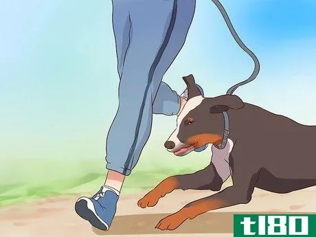Image titled Exercise With Your Dog Step 11