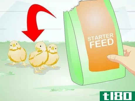 Image titled Feed Laying Hens Step 10