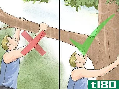 Image titled Free Climb a Tree Step 11