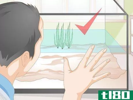 Image titled Do a Water Change in a Freshwater Aquarium Step 9