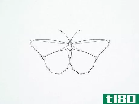 Image titled Draw a Butterfly Step 21