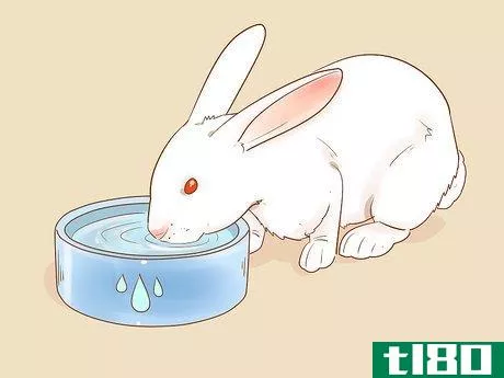 Image titled Feed Your Rabbit with Pellets Step 18