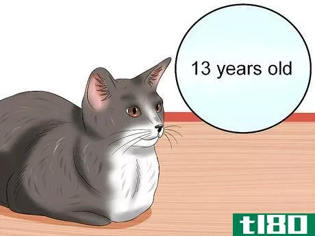 Image titled Diagnose High Thyroid Levels in a Cat Step 1