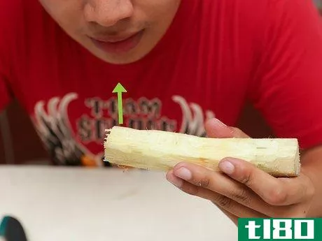 Image titled Eat a Sugar Cane Step 7