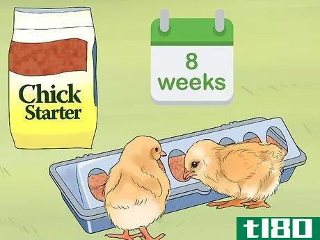 Image titled Feed Chicks Step 8