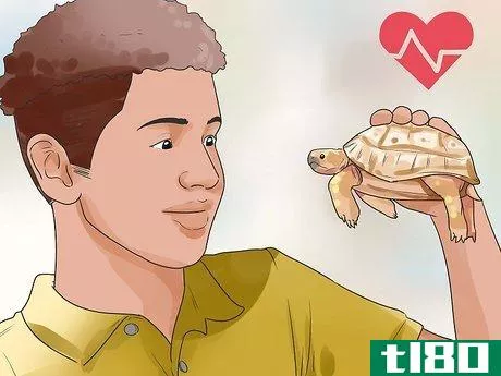 Image titled Find a Turtle Step 3