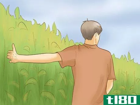Image titled Find Your Way Through a Corn Maze Step 6