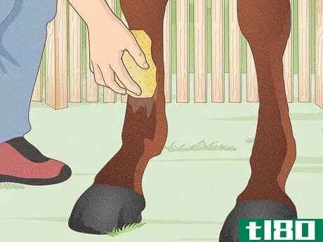 Image titled Fit a Horse for Support Boots Step 7