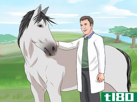 Image titled Diagnose Heaves in Horses Step 12