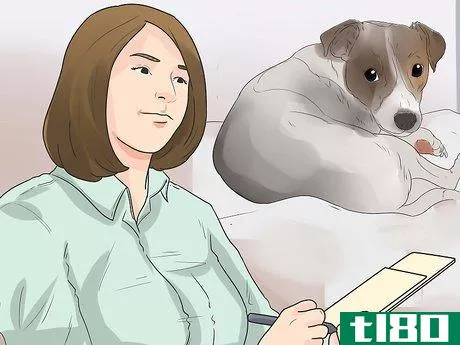 Image titled Encourage Your Dog to Sleep in Your Bed Step 11