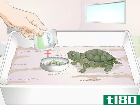 Image titled Feed a Baby Turtle Step 10