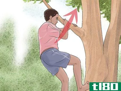 Image titled Free Climb a Tree Step 5