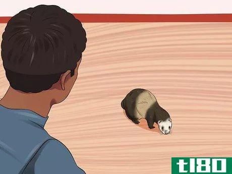 Image titled Ferret Proof a House Step 12