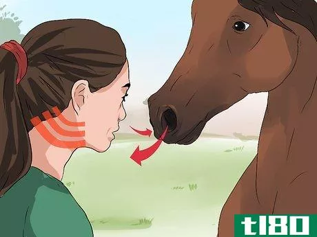 Image titled Diagnose Heaves in Horses Step 3