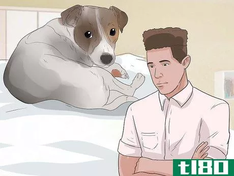 Image titled Encourage Your Dog to Sleep in Your Bed Step 5