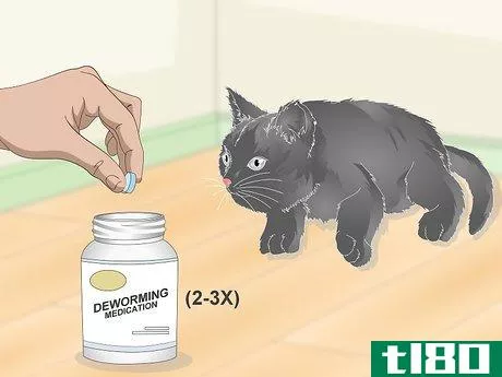 Image titled Eliminate Roundworms in Cats Step 5